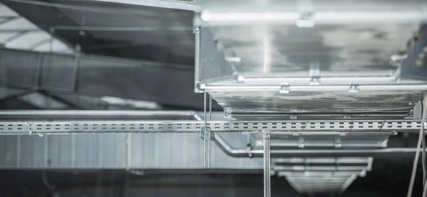 Pet Sheet Manufacturer Case Study